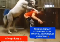 Michael Hanley Horse Video Orange Shirt Video Twitter